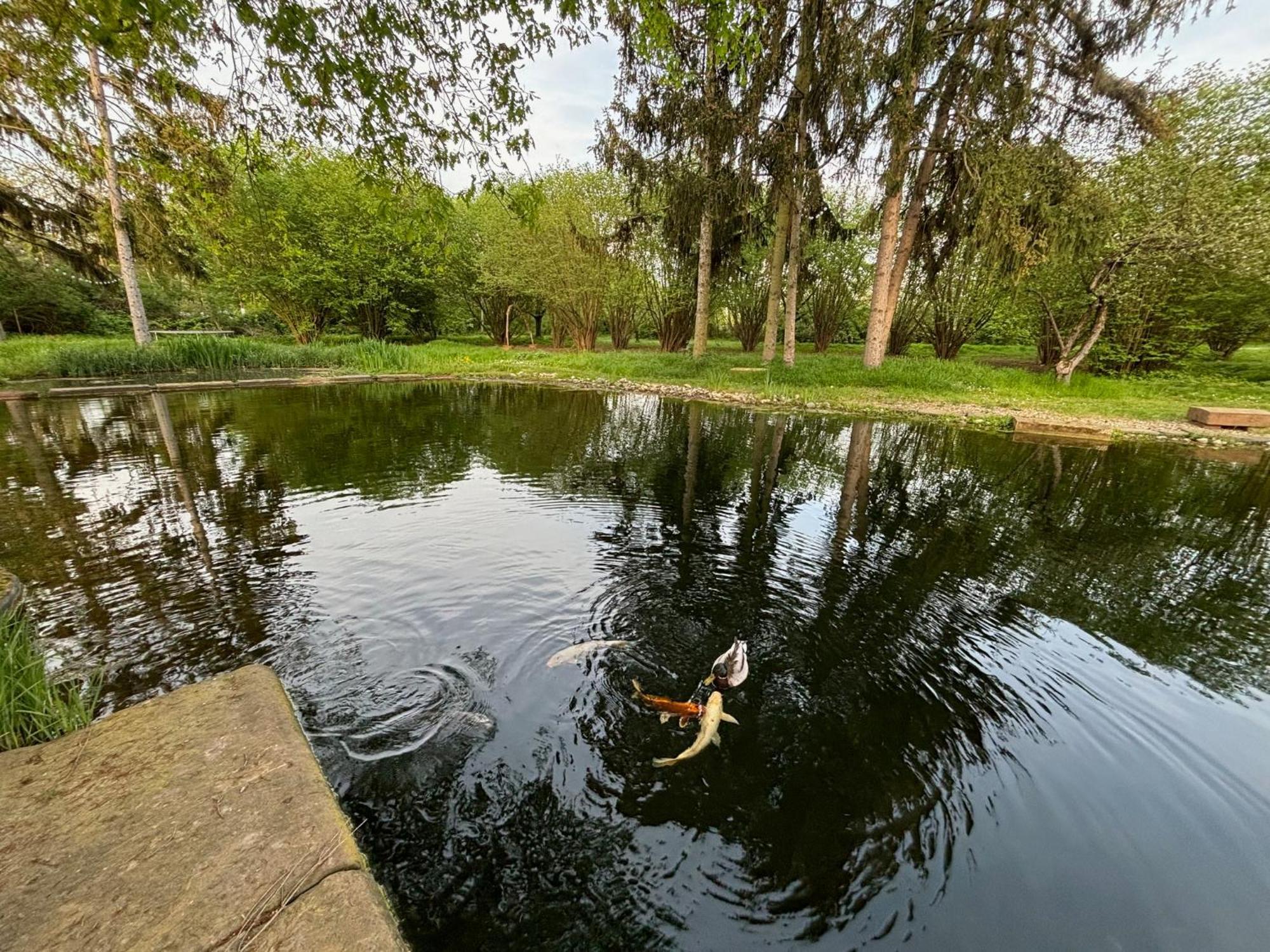 Datscha Am See Worms Extérieur photo